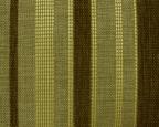 Violet stripe