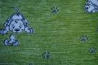 Dalmations